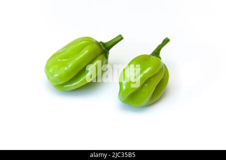 Poivrons Scotch Bonnet isolés sur fond blanc de studio Banque D'Images