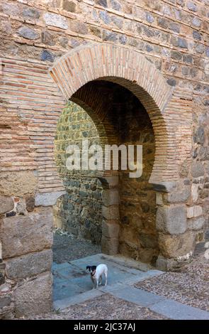 Porte Puerta de Alcantara. Tolède, Espagne. Banque D'Images