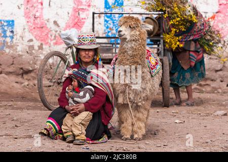 Femme quechua, enfant et alpaga sur la rue de terre, Vallée Sacrée, Pérou, Amérique du Sud Banque D'Images