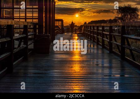 Hel, Voivodeship de Poméranie / Pologne - 2 juin 2022: Quai d'observation et de promenade en bois au-dessus du parc Dune à Hel, Pologne, péninsule de Hel. Banque D'Images