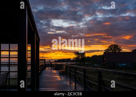 Hel, Voivodeship de Poméranie / Pologne - 2 juin 2022: Quai d'observation et de promenade en bois au-dessus du parc Dune à Hel, Pologne, péninsule de Hel. Banque D'Images