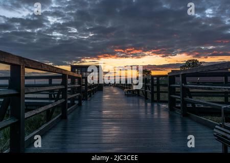 Hel, Voivodeship de Poméranie / Pologne - 2 juin 2022: Quai d'observation et de promenade en bois au-dessus du parc Dune à Hel, Pologne, péninsule de Hel. Banque D'Images