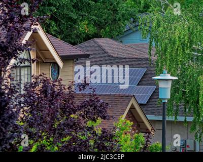 Les maisons avec des panneaux solaires causent les problèmes des fournisseurs d'énergie en réduisant leurs bénéfices. Photo i Sacramento Californie montre la maison avec des panneaux solaires qui alimentent l'électricité dans le réseau. Les entreprises de services publics veulent facturer aux propriétaires $50 USD de frais pour leur donner de l'électricité. Le gouverneur de la Floride a mis son veto à un projet de loi adopté par l'Assemblée législative pour empêcher les propriétaires d'être payés au même taux que leur facture d'électricité. Banque D'Images