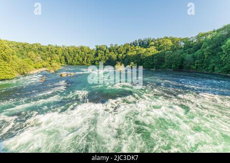 Courants rapides aux chutes du Rhin au printemps. Neuhausen am Reinfall. Schaffhausen, Suisse. Banque D'Images