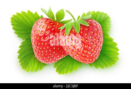 Fraises isolées. Deux fruits de fraise sur des feuilles isolées sur fond blanc, vue de dessus Banque D'Images