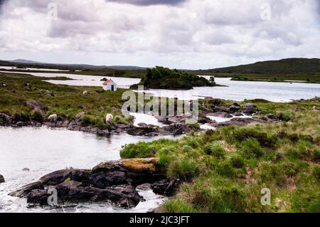 Îles intérieures et criques dans le Connemara, Irlande. Banque D'Images