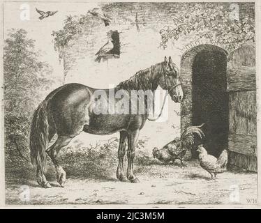 Un cheval avec halter à la porte ouverte d'une écurie. Devant la porte, un coq et un poulet. Dans le mur de l'écurie l'ouverture d'un dovecote., Cheval avec haltère, imprimerie: Christiaan Wilhelmus Moorrees, (mentionné sur l'objet), Christiaan Wilhelmus Moorrees, pays-Bas, 1811 - 1867, papier, gravure, h 135 mm × l 167 mm Banque D'Images