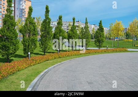 Le sentier en granit se courbe autour de buissons ornementaux rouges et de jeunes arbres verts dans le parc de la ville le jour chaud du printemps Banque D'Images