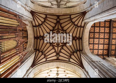 Plafond orné à la cathédrale de Winchester Banque D'Images