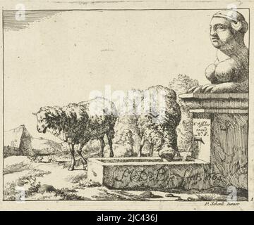 Two Sheep by a arrosoir Sheep (titre de la série), imprimeur: Marcus de Bye, (mentionné sur l'objet), éditeur: Pieter Schenk (II), (mentionné sur l'objet), éditeur: Nicolaes Visscher (I), (mentionné sur l'objet), imprimeur: The Hague, éditeur: Amsterdam, éditeur: Amsterdam, 1664 et/ou 1728 - c. 1761, papier, gravure, h 116 mm × l 147 mm Banque D'Images