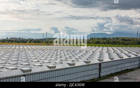 Serres de verre d'en haut au coucher du soleil. Agriculture. Verdure. Technologies contemporaines. Moderne grande serre commerciale construction pro Banque D'Images