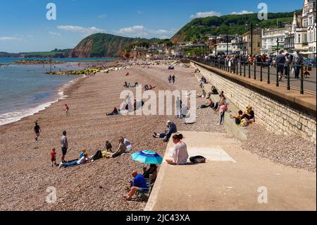 Sidmouth front de mer en été, East Devon, Angleterre Banque D'Images
