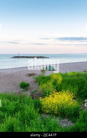 Front de mer de Sidmouth au crépuscule, East Devon, Angleterre Banque D'Images