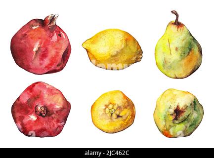 Ensemble de fruits de poire au citron à la grenade aquarelle isolé. Banque D'Images