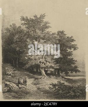 Figures près d'un bord de forêt, imprimerie : Remigius Adrianus Haanen, Autriche, (éventuellement), avant 1850, papier, gravure, h 239 mm × l 196 mm Banque D'Images