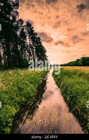 Longue exposition de la rivière Wietze à Langenhagen dans la région de Hanovre, qui coule à travers la forêt et les champs au début de l'été avec des nuages denses Banque D'Images