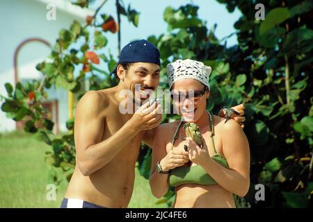 Touristes tenant de jeunes tortues marines dans leur main, Green Seaturtle (Chelonia mydas), pépinière de tortues de mer à Cayo Largo, Cuba, Caraïbes Banque D'Images