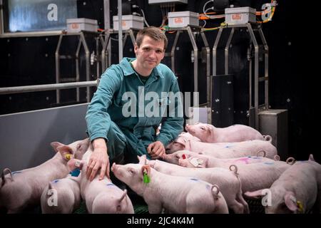 Bad Zwischenahn, Allemagne. 15th mars 2022. Marc-Alexander Lieboldt, coordinateur du projet de recherche 'Digipig', se dresse parmi les cochons de la grange. Le projet de recherche financé par le gouvernement fédéral de la Chambre d'agriculture, de l'Institut Thünen et d'autres partenaires vise à faire progresser la numérisation en agriculture. Les objectifs comprennent un plus grand bien-être animal et moins d'impact sur l'environnement. (À dpa 'entièrement en réseau et totalement surveillé - la grange du futur') Credit: Sina Schuldt/dpa/Alamy Live News Banque D'Images