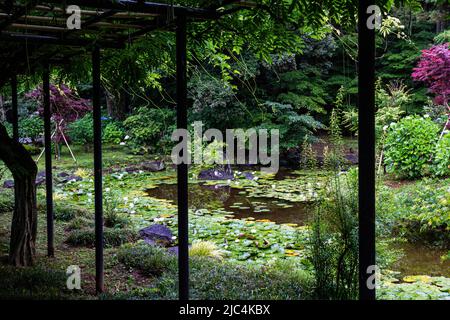 Jardin du temple Hondo-ji l'étang de Lotus - Hondoji est un temple construit dans la période Kamakura, et le nom du temple aurait été donné par Nichiren Banque D'Images