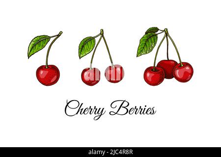 Ensemble de baies de cerises dessinées à la main. Illustration vectorielle dans un style d'esquisse coloré Illustration de Vecteur