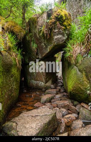 L’entrée de Burn o’ Vat, qui est un exemple de pothole, situé près du Loch Kinord, près du village de Dinnet dans Aberdeenshire, en Écosse Banque D'Images