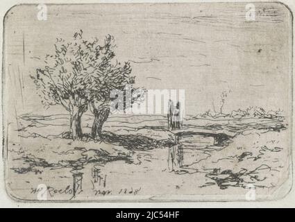 Deux Pollard Willows by the Water., imprimeur: Willem Roelofs (I), (mentionné sur l'objet), pays-Bas, 1868, papier, gravure, h 46 mm × l 67 mm Banque D'Images