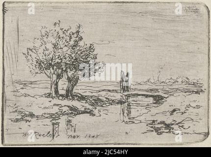 Deux Pollard Willows by the Water., imprimeur: Willem Roelofs (I), (mentionné sur l'objet), pays-Bas, 1868, papier, gravure, h 46 mm × l 67 mm Banque D'Images