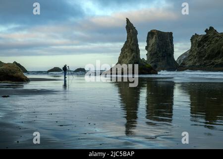 Etats-Unis, Oregon Coast, Oregon, Coos County, Bandon *** Légende locale *** USA, Oregon Coast, Oregon, Coos County, Bandon, côte, côtière, américaine, landsc Banque D'Images