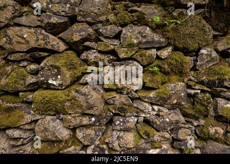 Ancien mur de pierre naturelle, recouvert de mousse, adapté comme une texture de fond naturelle, prise sur l'île de Madère, Portugal Banque D'Images
