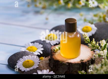 Huile aromatique avec camomille. Bouteille d'huile de camomille avec marguerites sur table en bois. Banque D'Images