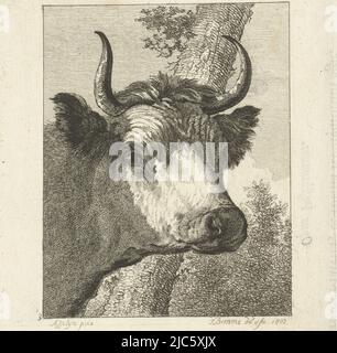 Tête de vache à droite, imprimeuse: Joannes Bemme, (mentionnée sur l'objet), dessinateur intermédiaire: Joannes Bemme, (mentionnée sur l'objet), après: Jan Asselijn, (mentionné sur l'objet), 1802, papier, gravure, h 133 mm × l 108 mm Banque D'Images