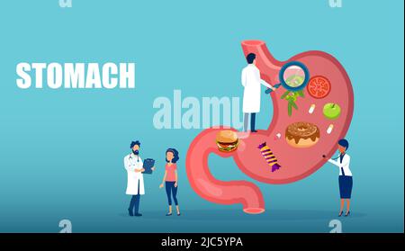 Vecteur de plusieurs médecins en examen de la nutrition du patient et de l'estomac Illustration de Vecteur