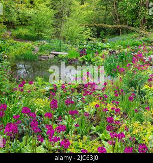 Le bassin de Jubilee Wood au printemps à Aberglasney Gardens Banque D'Images