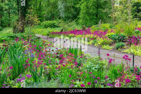 Jubilee Wood au printemps à Aberglasney Gardens Banque D'Images