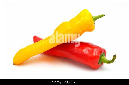 Paprika rouge et jaune pointue sur blanc Banque D'Images