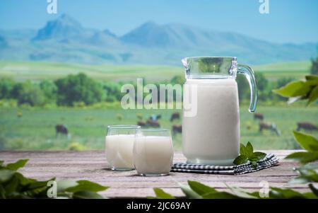 Pot à lait et verres sur la table avec des vaches en pâturage en arrière-plan. Concept de lait biologique pour une alimentation saine. Lait pour la vie naturelle Banque D'Images