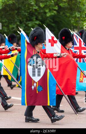 Les drapeaux du Commonwealth ont défilé pour la section Reine et campagne au défilé du Jubilé de platine de la Reine dans le Mall. ESwatini, Tonga Banque D'Images