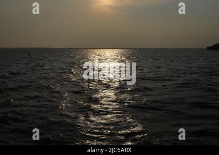 Abandonné par la suite les poteaux en bambou de Rotten d'un ancien quai avec l'aspect abstrait incliné dans la mer. Banque D'Images