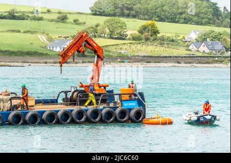 Courtmacsherry, West Cork, Irlande. 10th juin 2022. Les amarrages pour embarcations de plaisance et pour embarcations de plaisance RNLI étaient aujourd'hui en cours d'enregistrement dans le port de Courtmacsherry avant le début du dragage dans les jours à venir. On s'attend à ce que le dragage prenne de trois à quatre semaines. Crédit : AG News/Alay Live News Banque D'Images