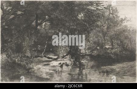 Paysage forestier avec eau en premier plan, arbres le long de l'eau, imprimerie: Willem Steelink (I), (mentionné sur l'objet), après: Johannes Warnardus Bilders, (mentionné sur l'objet), Amsterdam, 1836 - 1913, papier, gravure, h 170 mm × l 255 mm Banque D'Images