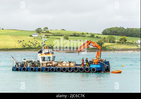 Courtmacsherry, West Cork, Irlande. 10th juin 2022. Les amarrages pour embarcations de plaisance et pour embarcations de plaisance RNLI étaient aujourd'hui en cours d'enregistrement dans le port de Courtmacsherry avant le début du dragage dans les jours à venir. On s'attend à ce que le dragage prenne de trois à quatre semaines. Crédit : AG News/Alay Live News Banque D'Images