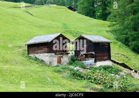 Visite des grands-parents suisses, vacances à la ferme, granges dans les Alpes suisses Banque D'Images