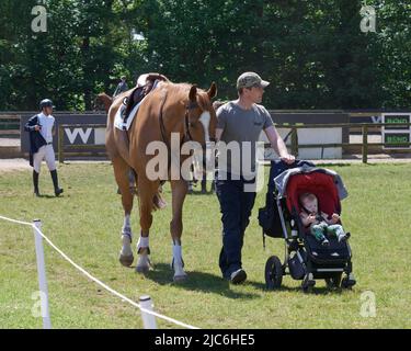 La foule profite du soleil et de l'Opener sénior du British Show Jumping Senior Season à Bicton Arena, Devon, Royaume-Uni. Crédit : will Tudor/Alamy Banque D'Images