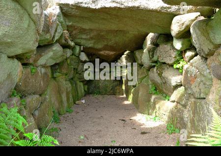 Un regard à l'intérieur de Bants Carn, tombe de l'âge de bronze une tombe d'entrée néolithique tardive, au-dessus du village de Halangy sur St Marys, Iles de Scilly, Cornwall.UK Banque D'Images