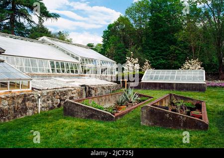 Un groupe de serres à Stevens-Coolidge maison et jardin. L'image a été capturée sur un film analogique. North Andover, Massachusetts, États-Unis Banque D'Images