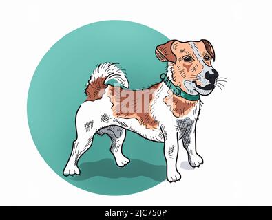 Ukraine chien patron, Jack russell terrier vecteur Illustration sur fond blanc. Banque D'Images