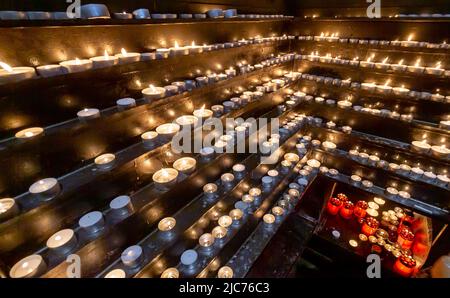 Bucarest, Roumanie - 14 avril 2019 : les croyants catholiques romains assistent à la célébration du dimanche des palmiers à la cathédrale Saint-Joseph, à Bucarest. Banque D'Images