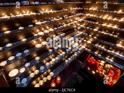 Bucarest, Roumanie - 14 avril 2019 : les croyants catholiques romains assistent à la célébration du dimanche des palmiers à la cathédrale Saint-Joseph, à Bucarest. Banque D'Images