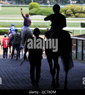 Elmont, États-Unis. 10th juin 2022. Les chevaux et les jockeys se dirigent vers la piste avant la première course aujourd'hui, un jour avant la course de 154th des piquets de Belmont à Elmont, New York, vendredi, 10 juin 2022. Photo de Mark Abraham/UPI crédit: UPI/Alay Live News Banque D'Images