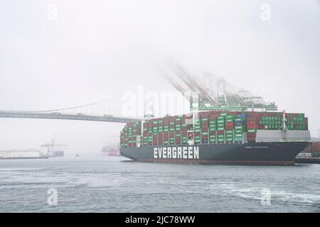 San Pedro, Californie, États-Unis. 10th juin 2022. Expédition permanente au port de Los Angeles à San Pedro, Californie 10 juin 2022. (Credit image: © Dominick Sokotooff/ZUMA Press Wire) Credit: ZUMA Press, Inc./Alamy Live News Banque D'Images